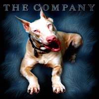 The Company : Awaking Under Dogs